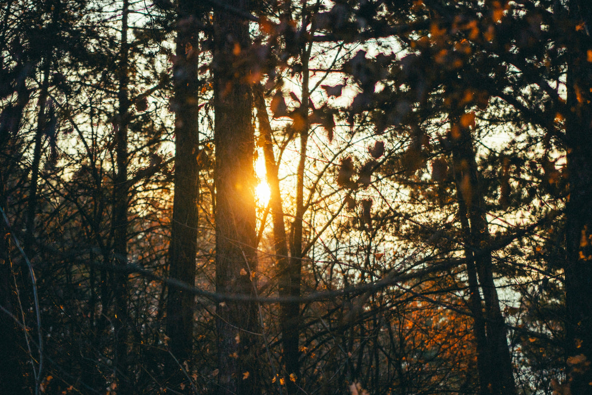 Herbst-Tagundnachtgleiche: Ein Tag für Balance, Rückzug und ruhige Rituale