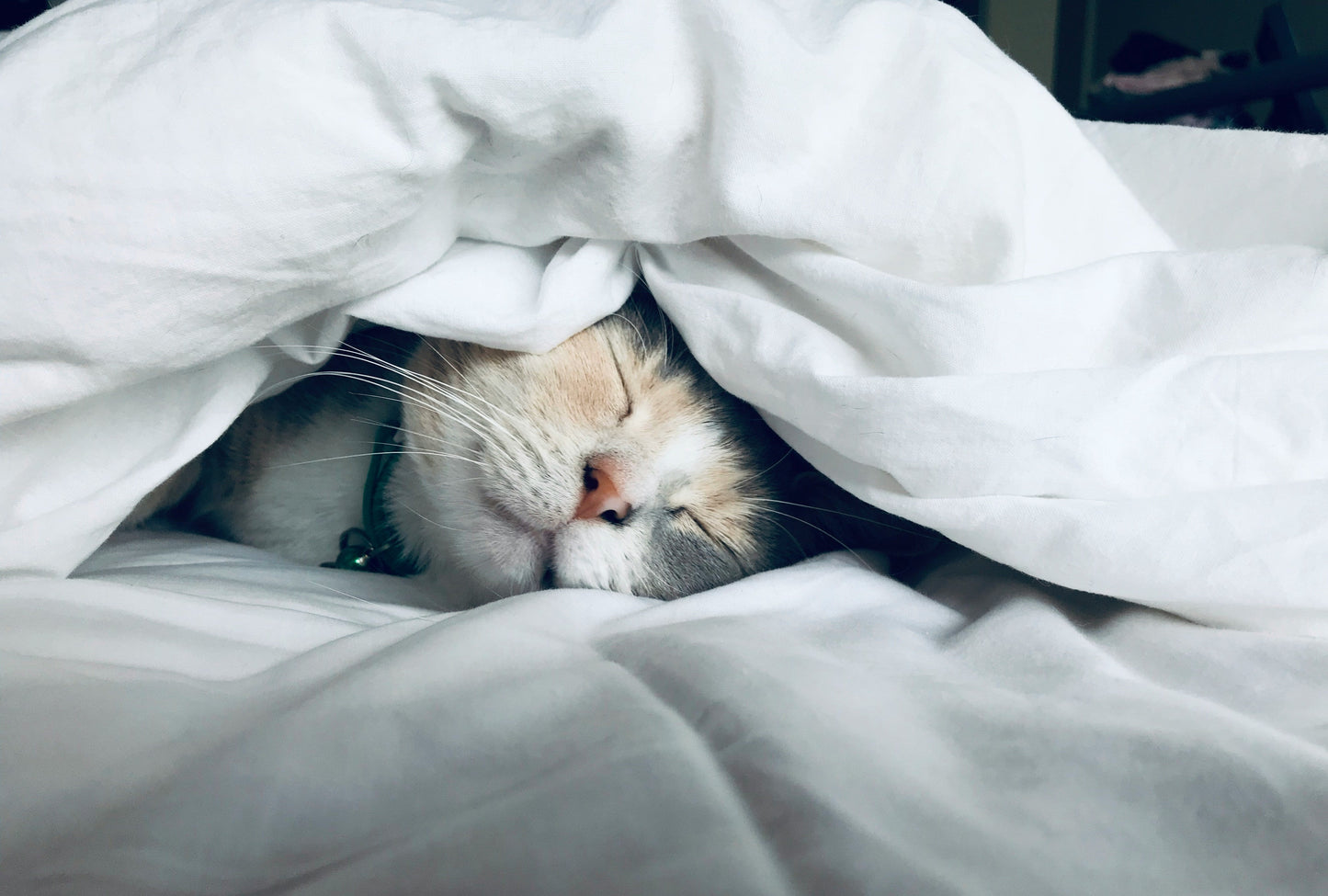 World Sleep Day: Warum guter Schlaf das beste Wellness-Ritual ist